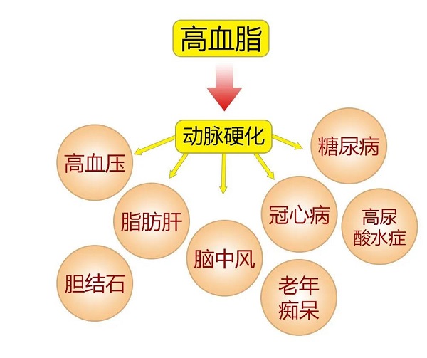 香港内部六宝典资料大全